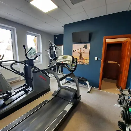 ホテル Boutique Szarcsa セーケシュフェヘールヴァール